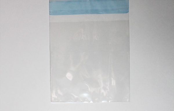 Clear Bag (Large)